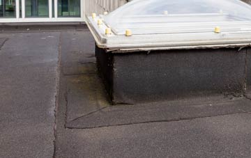 disadvantages of Pitblae flat roofs