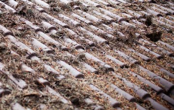 Pitblae roof cleaning companies